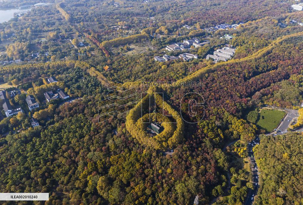 Meiling Palace at Zhongshan Mountain National Park in Nanjing