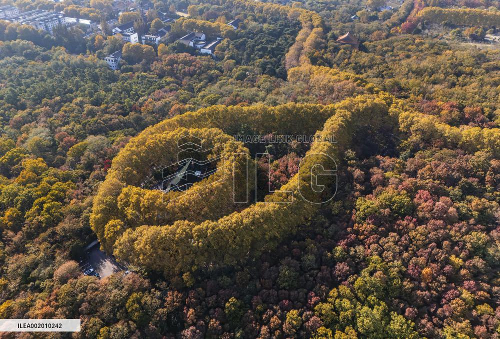 Meiling Palace at Zhongshan Mountain National Park in Nanjing