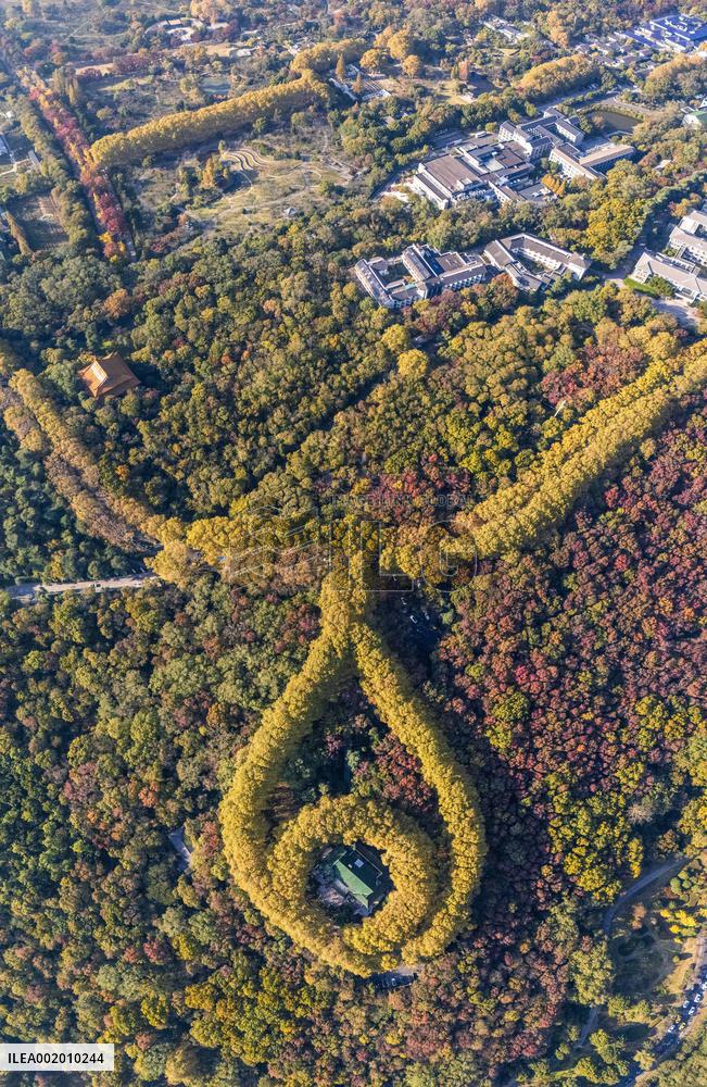 Meiling Palace at Zhongshan Mountain National Park in Nanjing