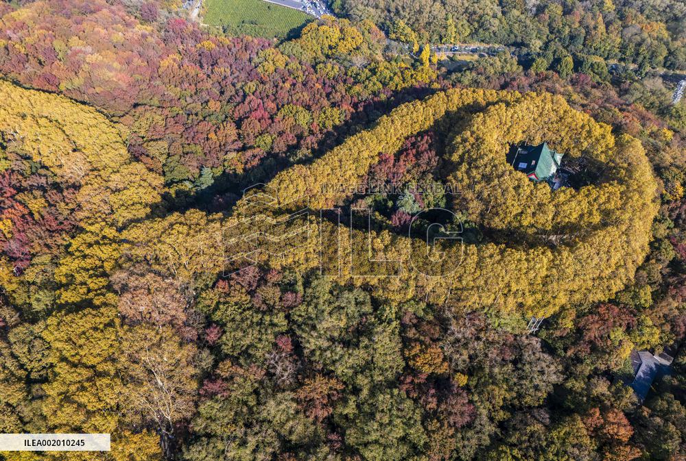 Meiling Palace at Zhongshan Mountain National Park in Nanjing