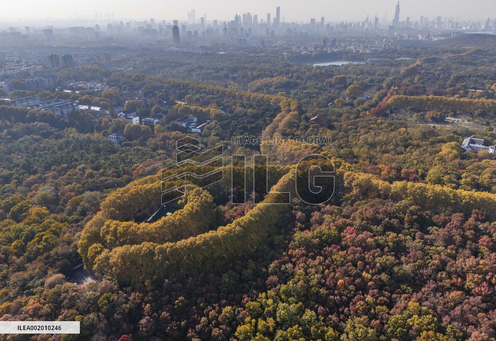 Meiling Palace at Zhongshan Mountain National Park in Nanjing