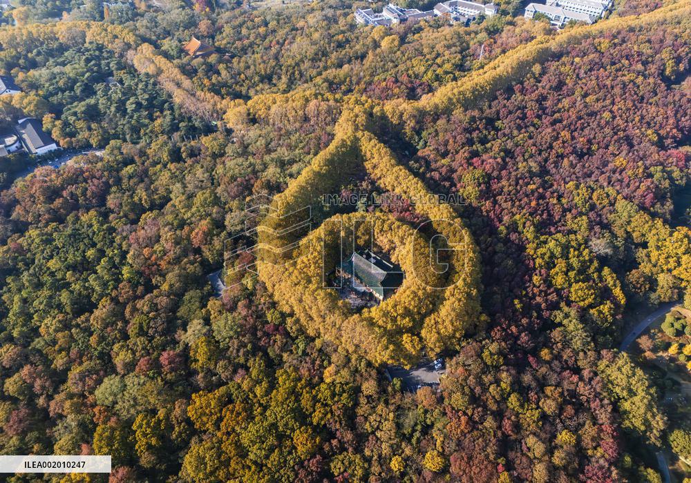 Meiling Palace at Zhongshan Mountain National Park in Nanjing