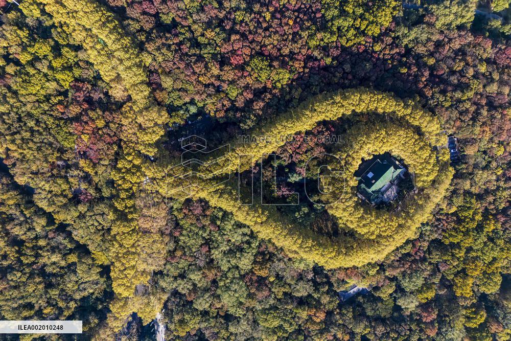 Meiling Palace at Zhongshan Mountain National Park in Nanjing