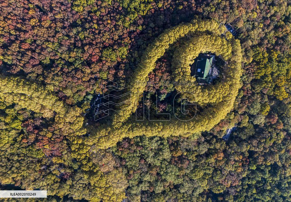 Meiling Palace at Zhongshan Mountain National Park in Nanjing