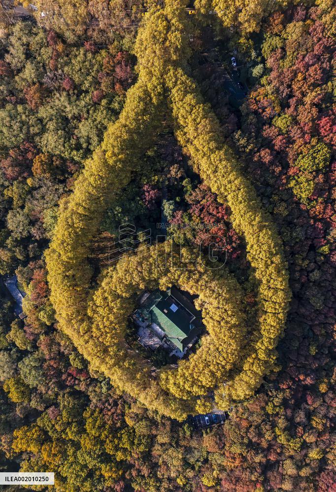Meiling Palace at Zhongshan Mountain National Park in Nanjing