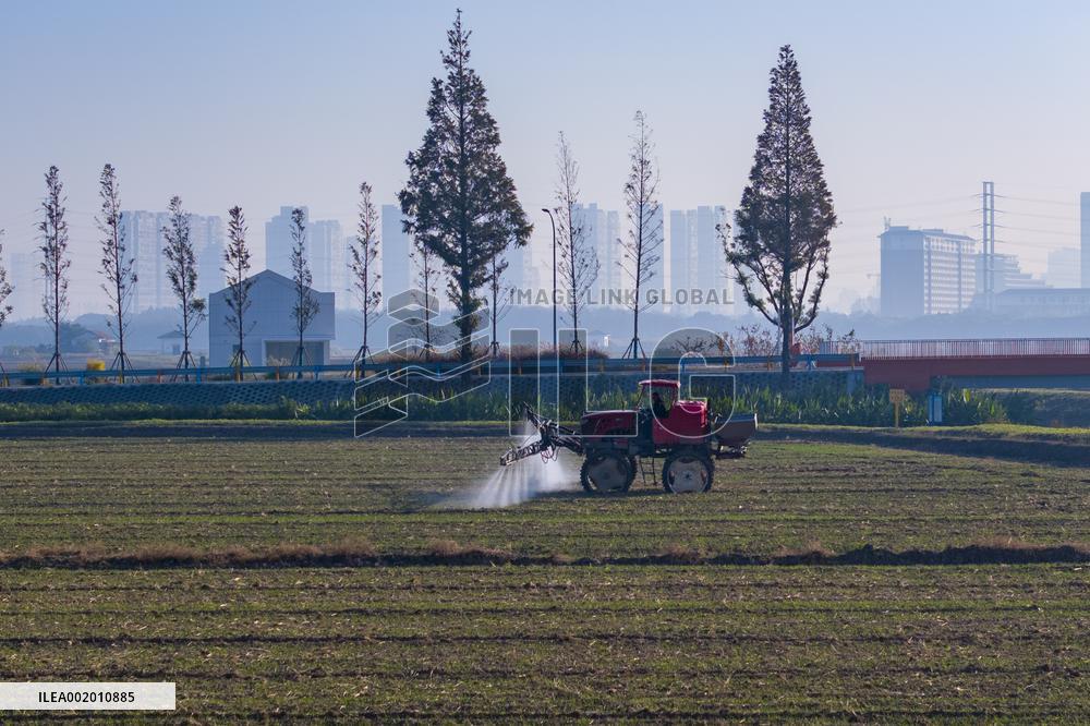 Future Wisdom Farm in Kunshan