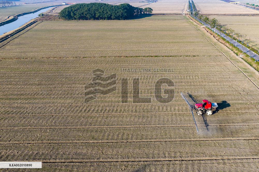 Future Wisdom Farm in Kunshan
