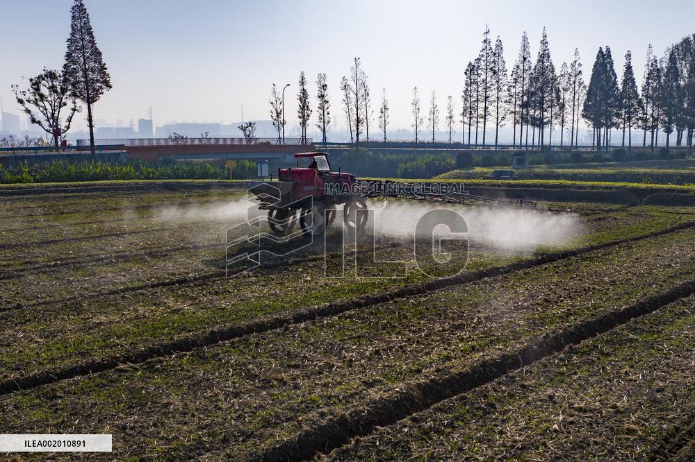 Future Wisdom Farm in Kunshan
