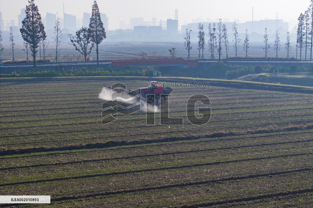 Future Wisdom Farm in Kunshan