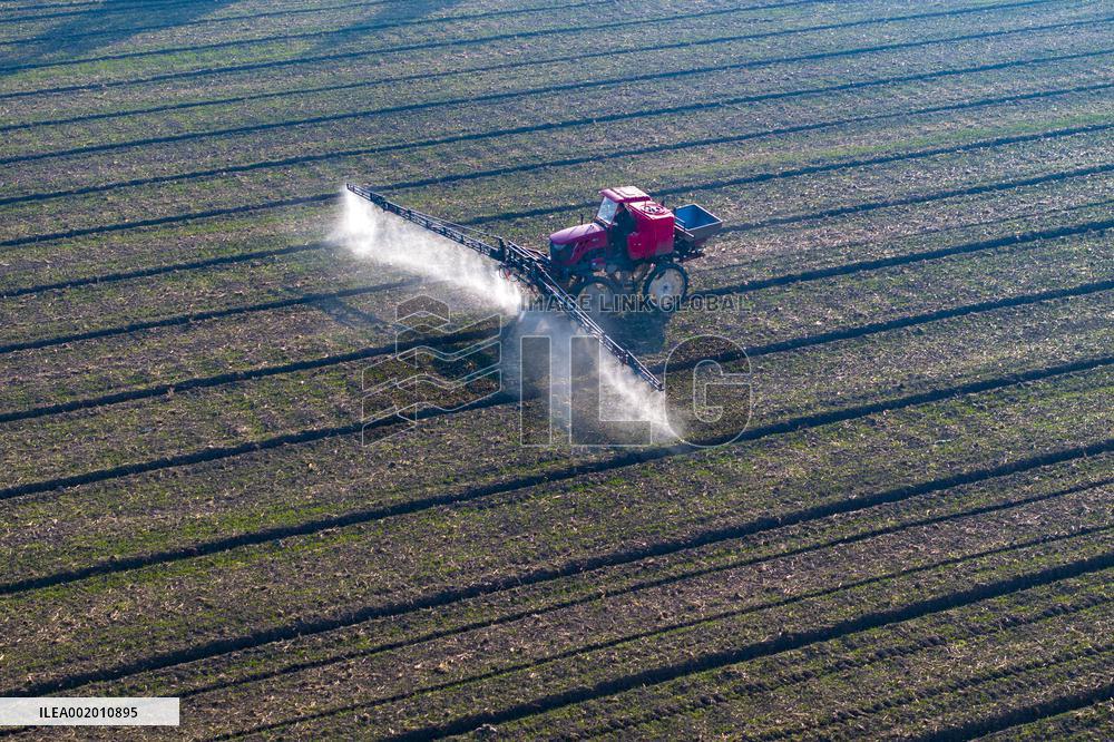 Future Wisdom Farm in Kunshan