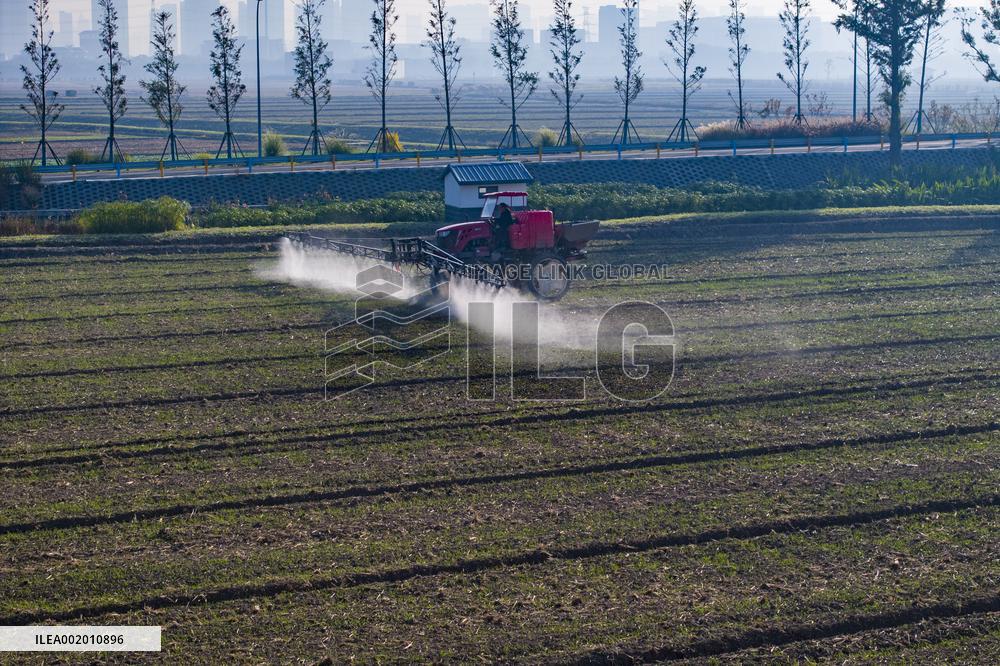 Future Wisdom Farm in Kunshan