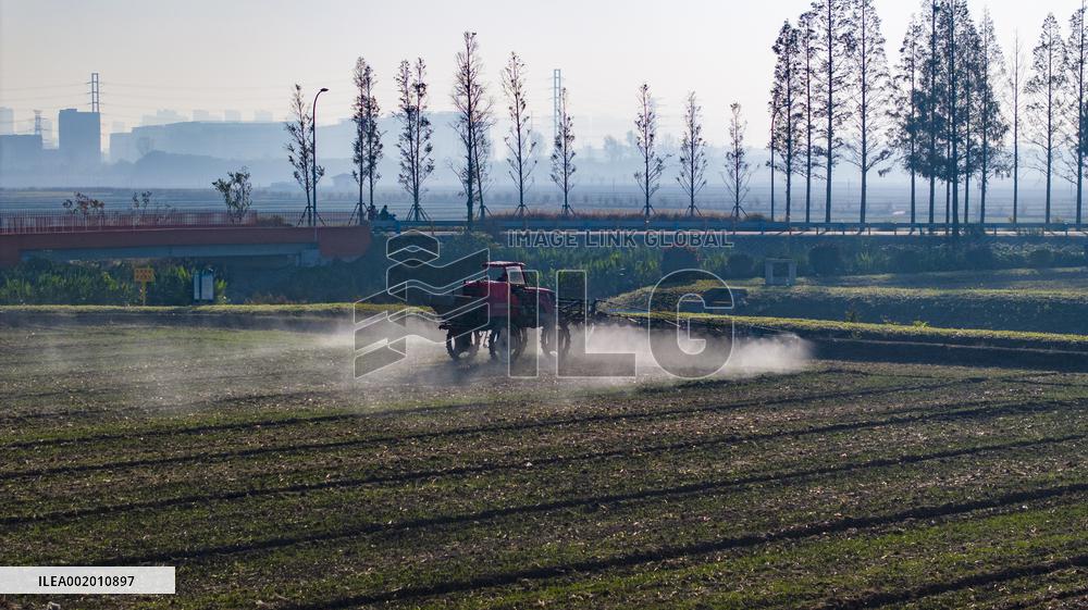 Future Wisdom Farm in Kunshan
