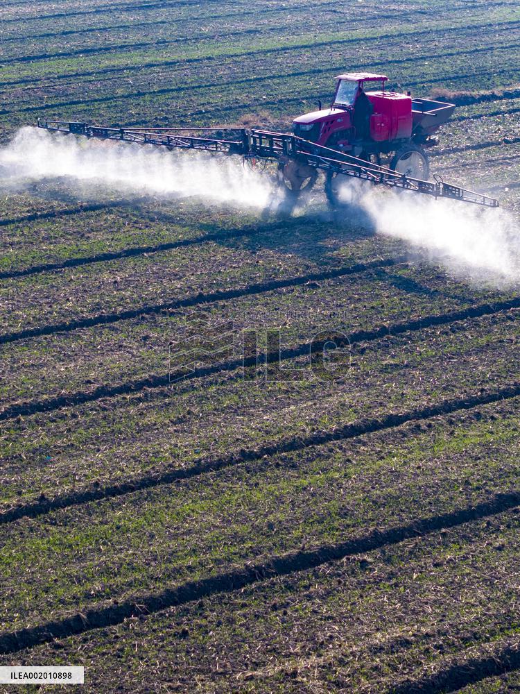 Future Wisdom Farm in Kunshan