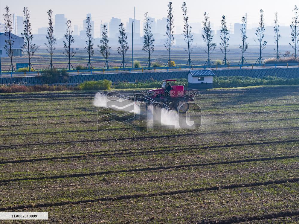Future Wisdom Farm in Kunshan