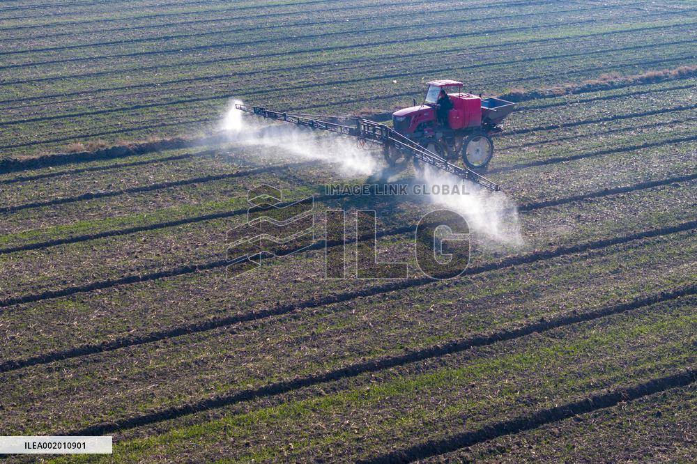 Future Wisdom Farm in Kunshan