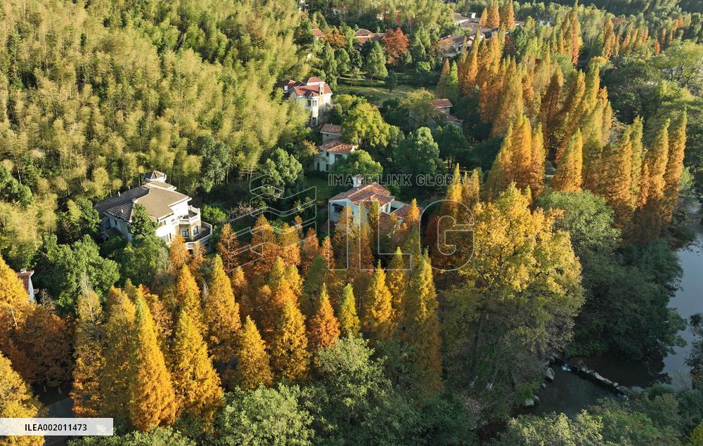 CHINA-JIANGXI-NANCHANG-FOREST-SCENERY (CN)