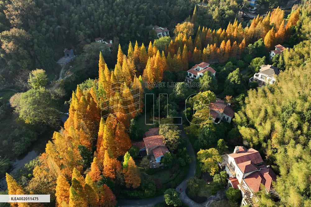 CHINA-JIANGXI-NANCHANG-FOREST-SCENERY (CN)