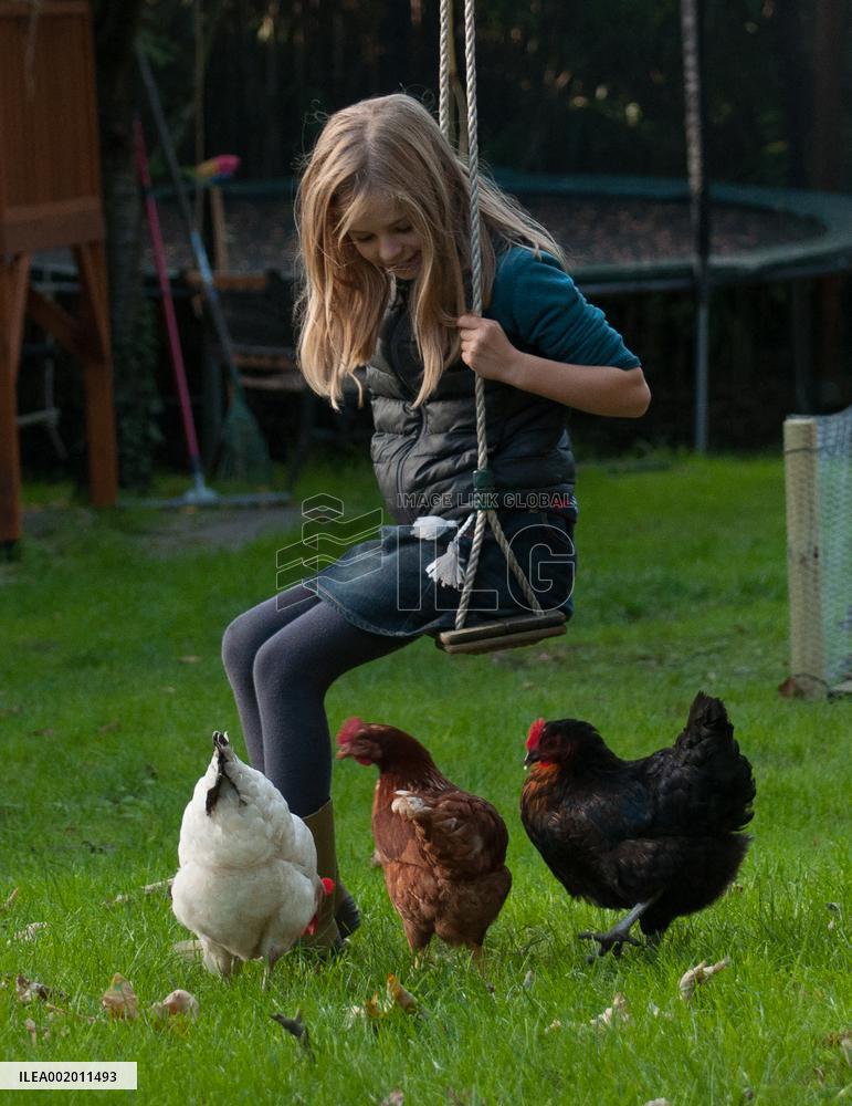 Paris Health Authorities Warns Over Eggs From Domestic Chickens - Paris