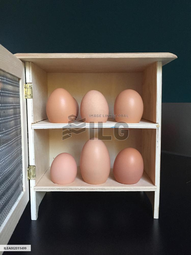 Paris Health Authorities Warns Over Eggs From Domestic Chickens - Paris