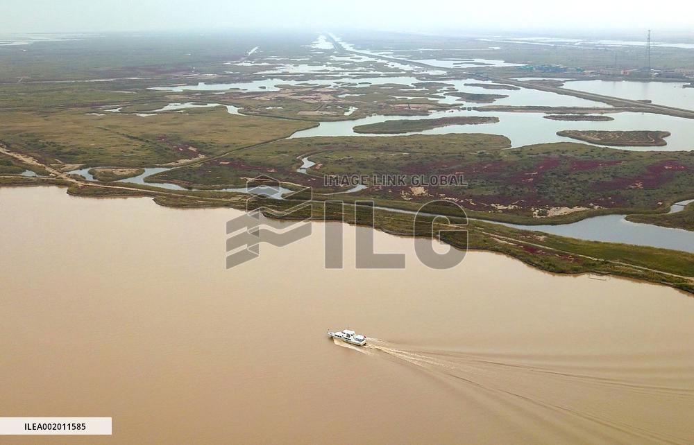 Xinhua Headlines: China employs tech to safeguard int'l bird migration