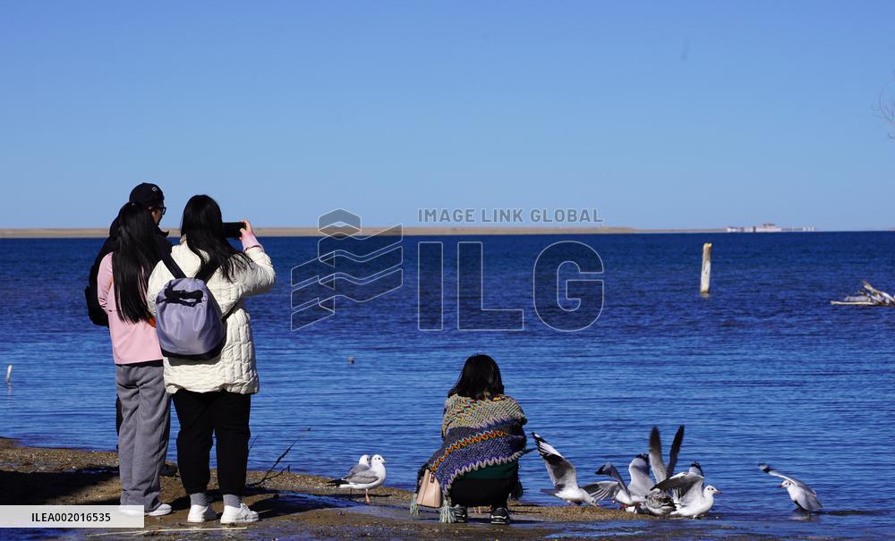 CHINA-QINGHAI-QINGHAI LAKE-WINTER SCENERY (CN)