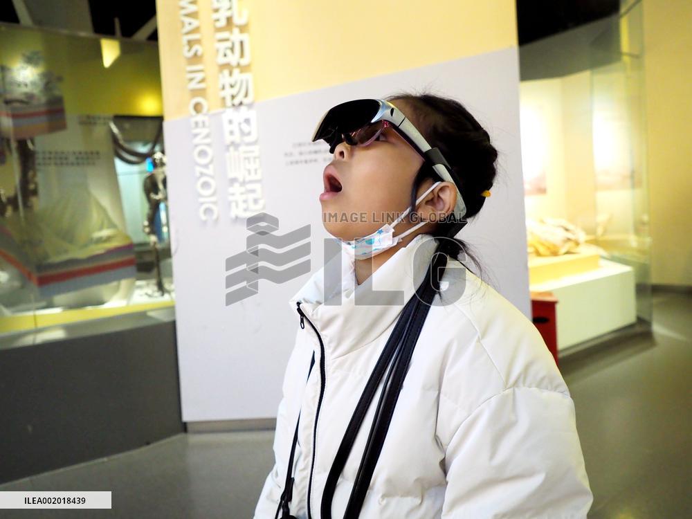 National Museum of Natural History Intelligent Tour