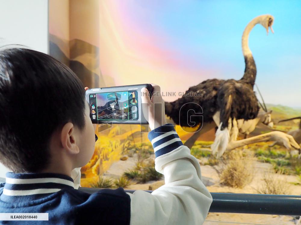 National Museum of Natural History Intelligent Tour