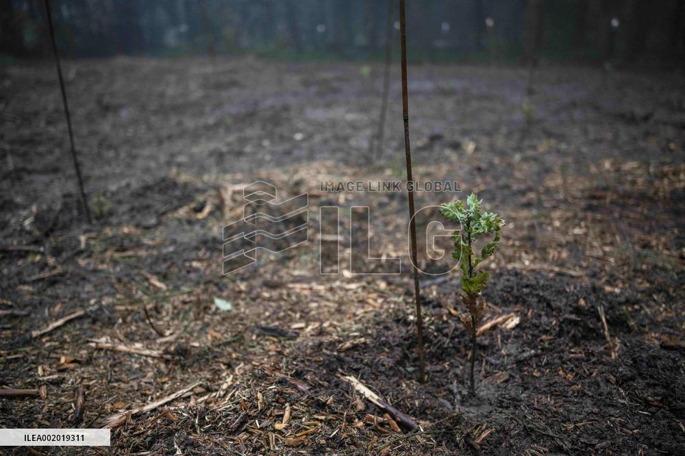 President Macron Visits The Jura Forests