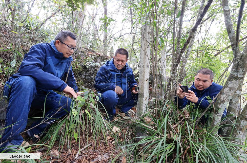 Yachangorchids National Nature Reserve Smart Management Digitization in Baise