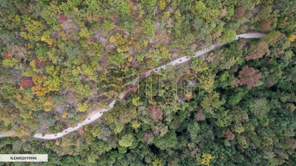 Yachangorchids National Nature Reserve Smart Management Digitization in Baise