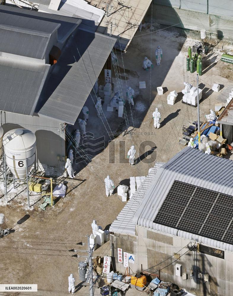 Season's first bird flu in Japan