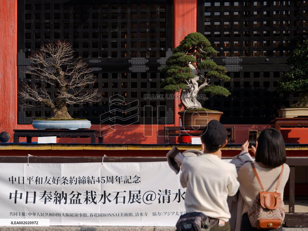 JAPAN-KYOTO-CHINA-BONSAI AND SUISEKI EXHIBITION