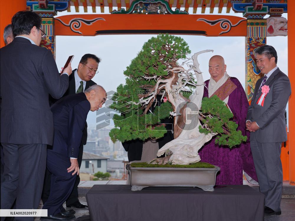 JAPAN-KYOTO-CHINA-BONSAI AND SUISEKI EXHIBITION