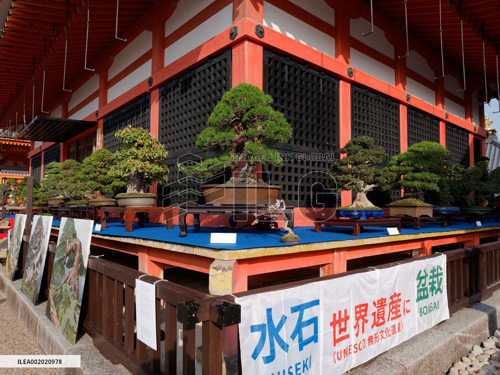 JAPAN-KYOTO-CHINA-BONSAI AND SUISEKI EXHIBITION