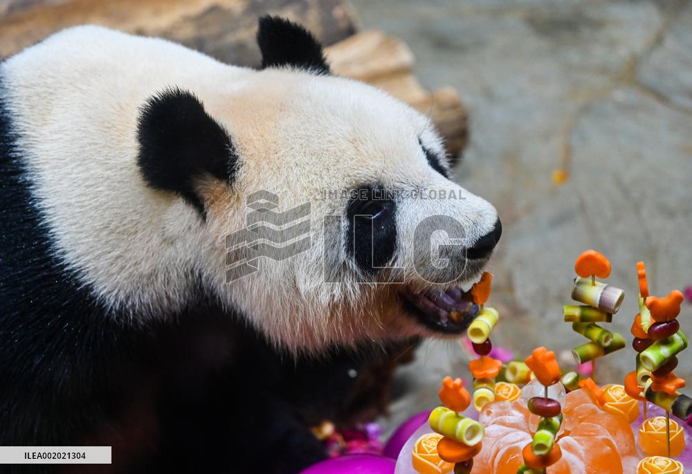 CHINA-HAINAN-HAIKOU-GIANT PANDA (CN)