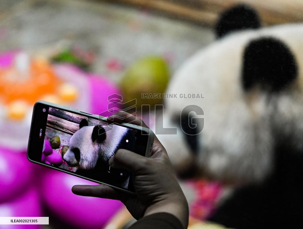 CHINA-HAINAN-HAIKOU-GIANT PANDA (CN)