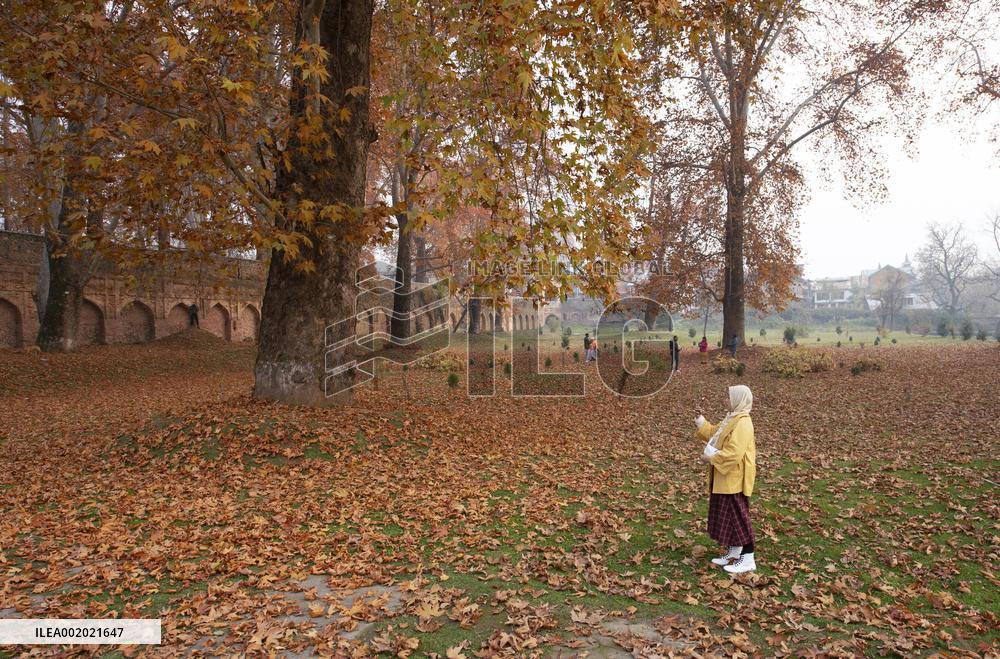 KASHMIR-SRINAGAR-AUTUMN SCENERY