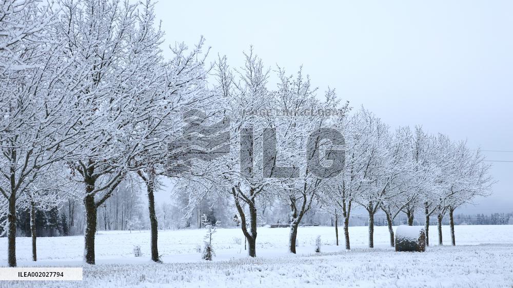 Nature in the winter