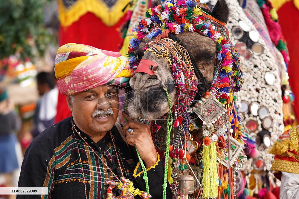 Closing Ceremony Of Annual Camel Fair In Pushkar - India