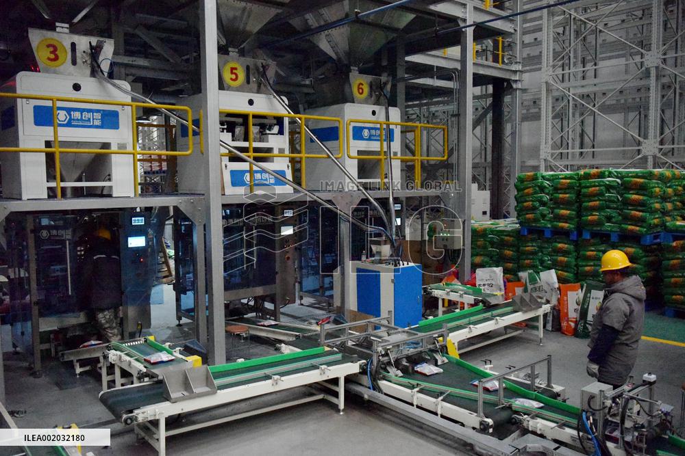 Agricultural Seed Processing Base in Zhangjiakou