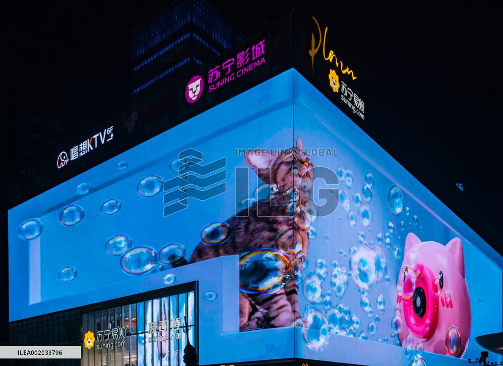 China Largest Naked Eye 3D Felis Catus