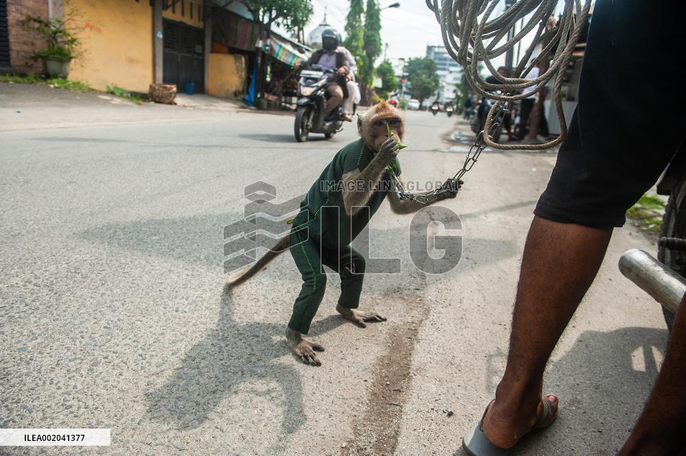 Street Monkey Mask Circus - Indonesia
