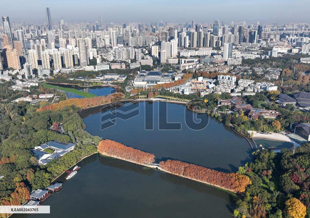 CHINA-WUHAN-WINTER SCENERY (CN)