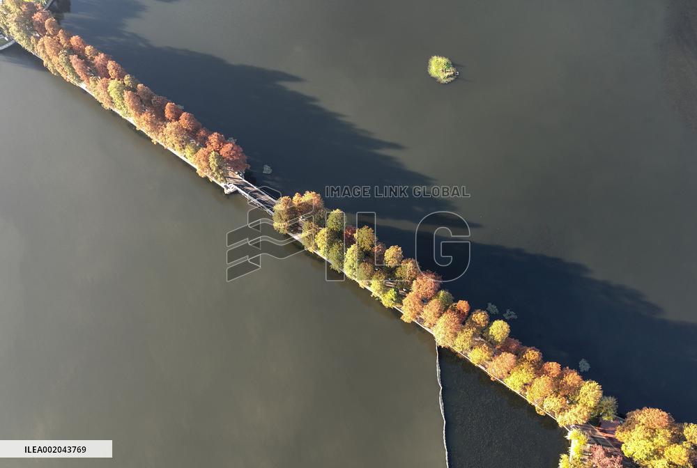 CHINA-WUHAN-WINTER SCENERY (CN)