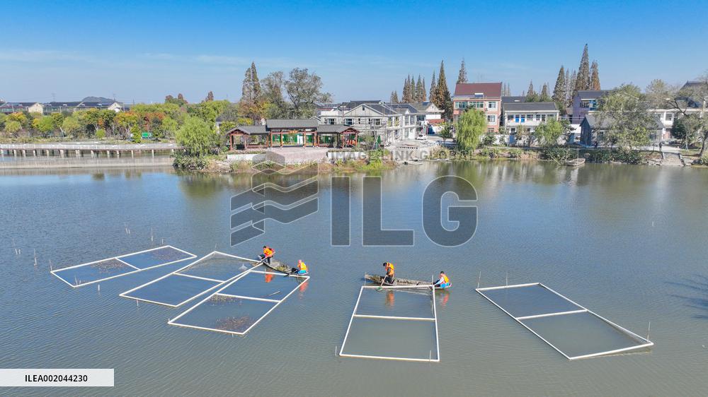 Beautiful Rural Construction in Huzhou