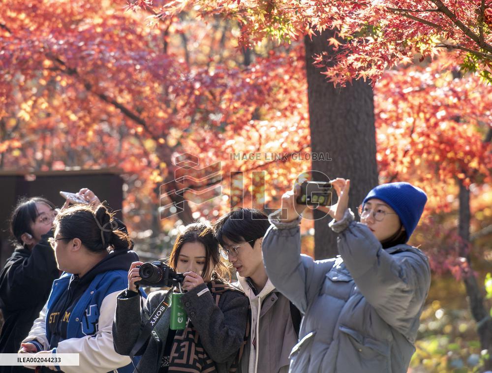 Tourist Travel in Nanjing