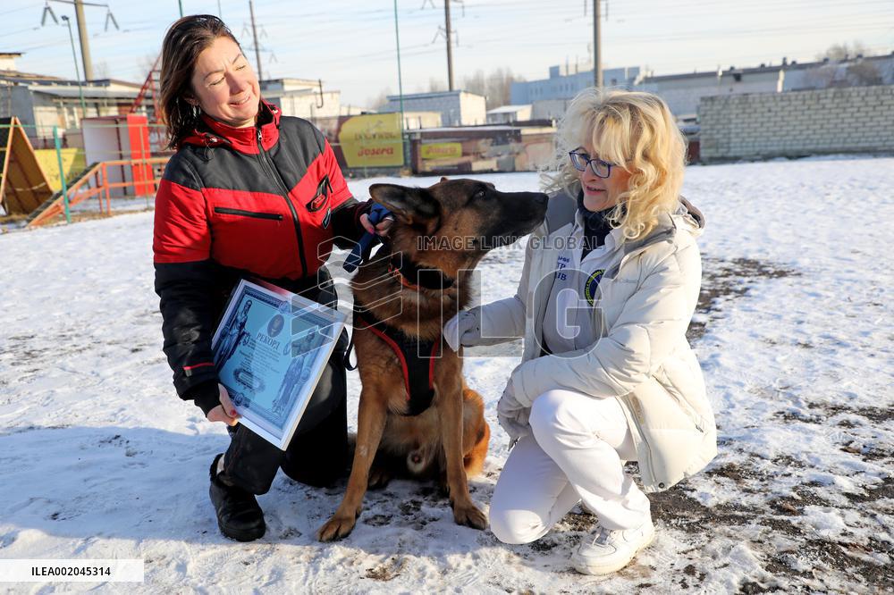 German Shepherd Karbon sets record of Ukraine