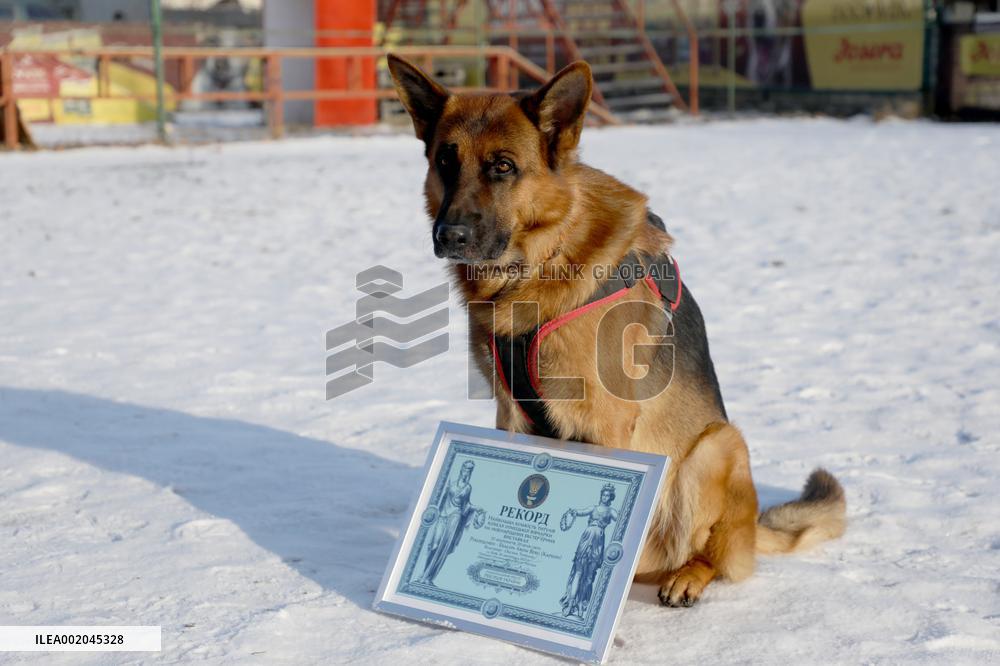 German Shepherd Karbon sets record of Ukraine