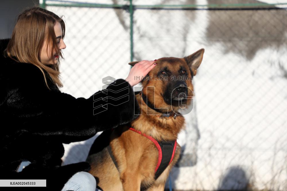 German Shepherd Karbon sets record of Ukraine