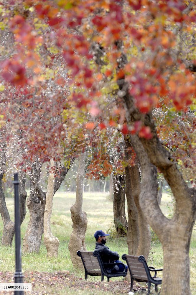 PAKISTAN-ISLAMABAD-AUTUMN-SCENERY